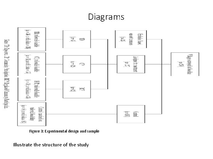 Diagrams Figure 3: Experimental design and sample Illustrate the structure of the study 