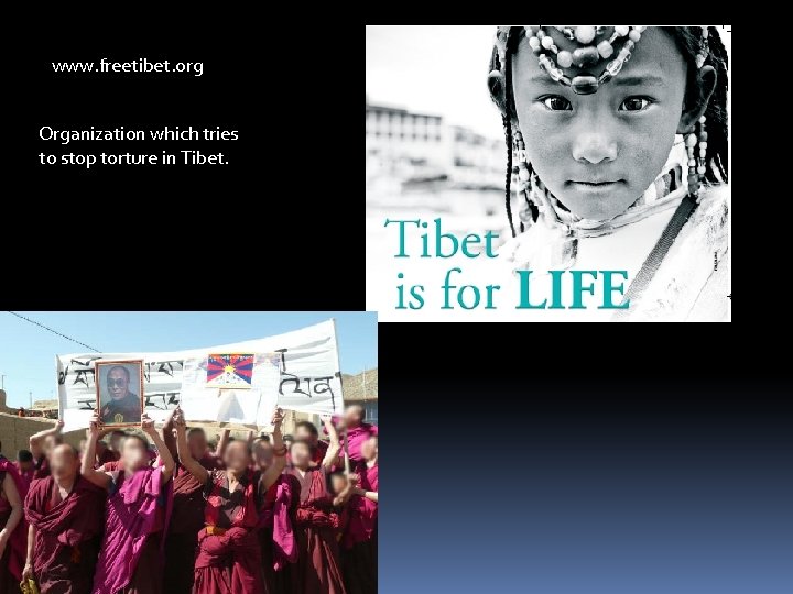 www. freetibet. org Organization which tries to stop torture in Tibet. 