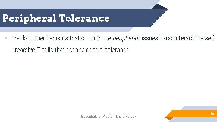 Peripheral Tolerance ▰ Back-up mechanisms that occur in the peripheral tissues to counteract the
