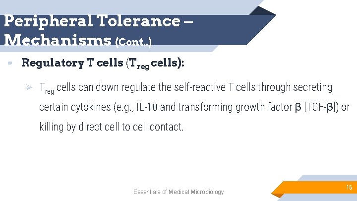 Peripheral Tolerance – Mechanisms (Cont. . ) ▰ Regulatory T cells (Treg cells): Ø