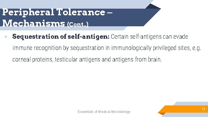 Peripheral Tolerance – Mechanisms (Cont. . ) ▰ Sequestration of self-antigen: Certain self-antigens can