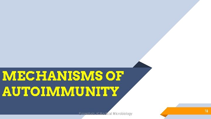 MECHANISMS OF AUTOIMMUNITY Essentials of Medical Microbiology 18 