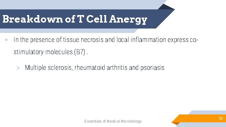 Breakdown of T Cell Anergy ▰ In the presence of tissue necrosis and local