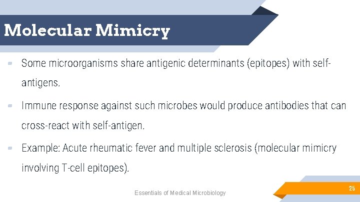 Molecular Mimicry ▰ Some microorganisms share antigenic determinants (epitopes) with self- antigens. ▰ Immune