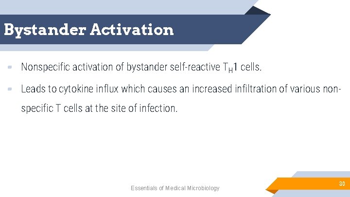 Bystander Activation ▰ Nonspecific activation of bystander self-reactive TH 1 cells. ▰ Leads to