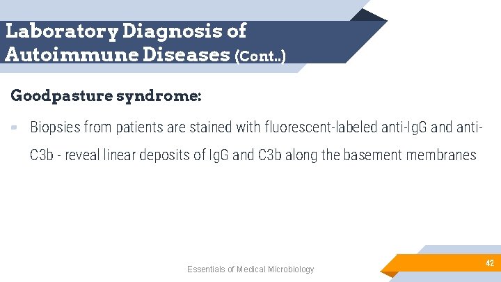 Laboratory Diagnosis of Autoimmune Diseases (Cont. . ) Goodpasture syndrome: ▰ Biopsies from patients