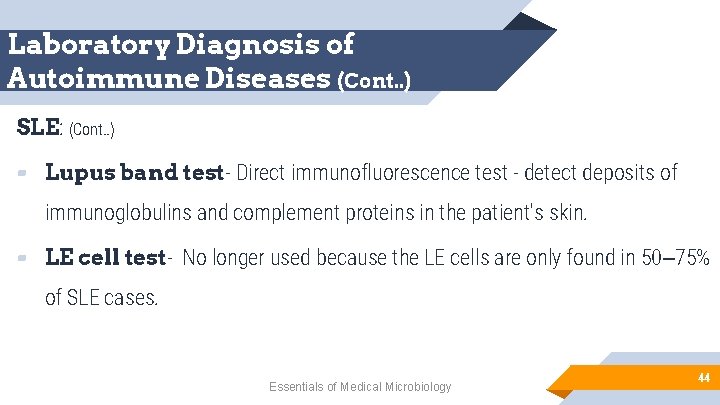 Laboratory Diagnosis of Autoimmune Diseases (Cont. . ) SLE: (Cont. . ) ▰ Lupus