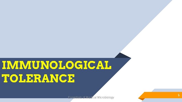 IMMUNOLOGICAL TOLERANCE Essentials of Medical Microbiology 5 