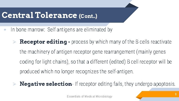 Central Tolerance (Cont. . ) ▰ In bone marrow: Self antigens are eliminated by
