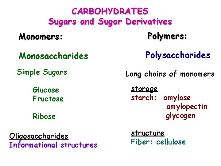 CARBOHYDRATES Sugars and Sugar Derivatives Monomers: Polymers: Monosaccharides Polysaccharides Simple Sugars Glucose Fructose Ribose