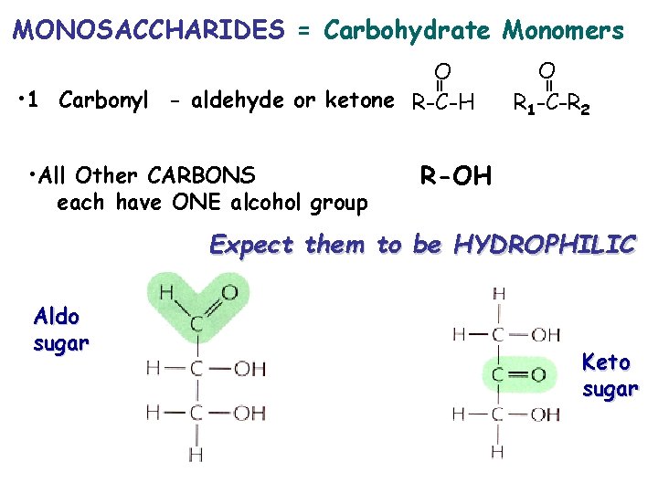 MONOSACCHARIDES = Carbohydrate Monomers • All Other CARBONS each have ONE alcohol group O
