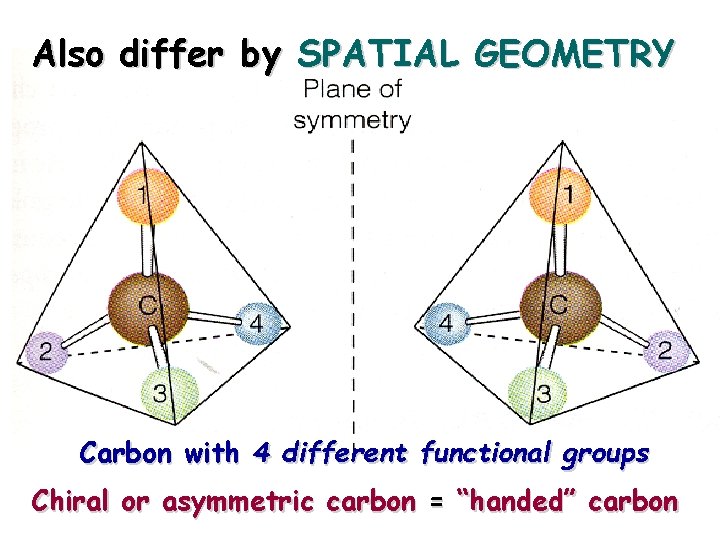 Also differ by SPATIAL GEOMETRY Carbon with 4 different functional groups Chiral or asymmetric