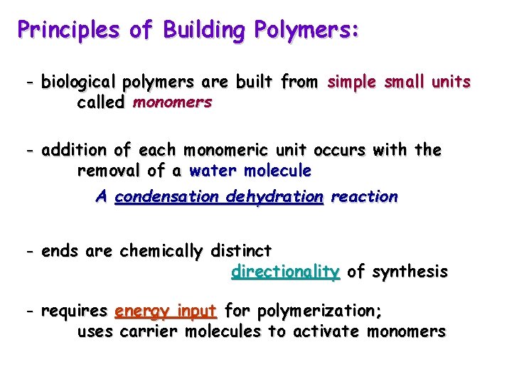 Principles of Building Polymers: - biological polymers are built from simple small units called