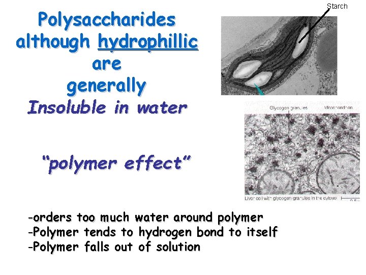 Polysaccharides although hydrophillic are generally Insoluble in water “polymer effect” -orders too much water