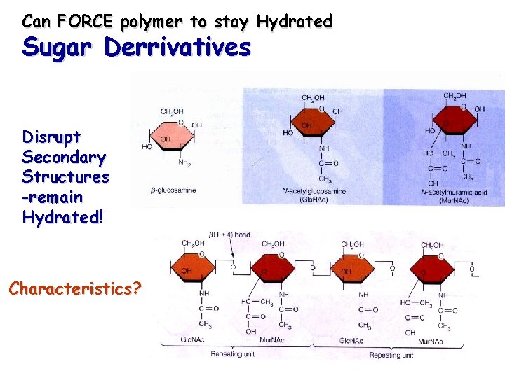 Can FORCE polymer to stay Hydrated Sugar Derrivatives Disrupt Secondary Structures -remain Hydrated! Characteristics?