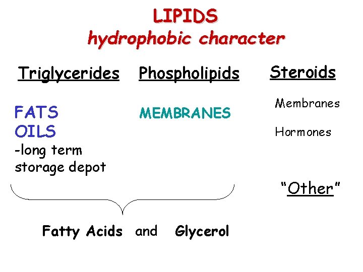 LIPIDS hydrophobic character Triglycerides FATS OILS Phospholipids MEMBRANES Steroids Membranes Hormones -long term storage
