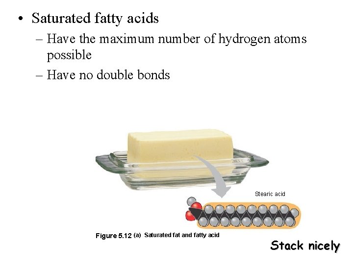  • Saturated fatty acids – Have the maximum number of hydrogen atoms possible