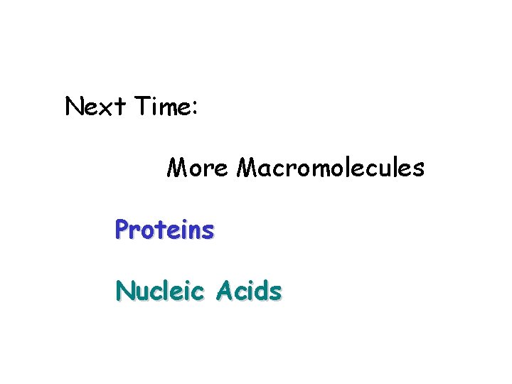 Next Time: More Macromolecules Proteins Nucleic Acids 