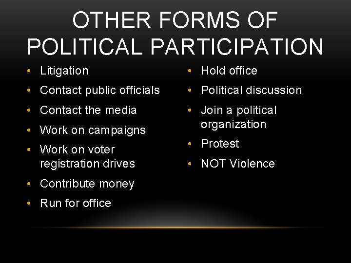 OTHER FORMS OF POLITICAL PARTICIPATION • Litigation • Hold office • Contact public officials