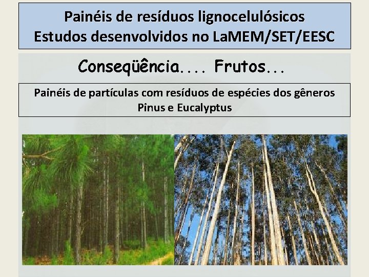 Painéis de resíduos lignocelulósicos Estudos desenvolvidos no La. MEM/SET/EESC Conseqüência. . Frutos. . .