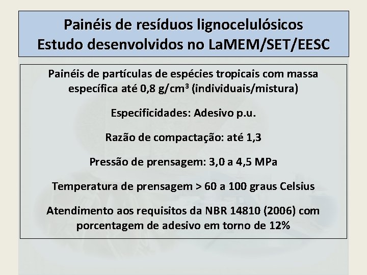 Painéis de resíduos lignocelulósicos Estudo desenvolvidos no La. MEM/SET/EESC Painéis de partículas de espécies