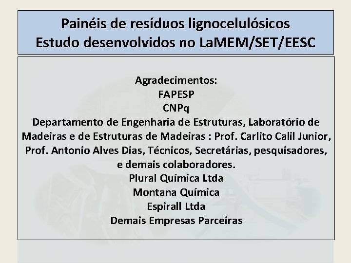 Painéis de resíduos lignocelulósicos Estudo desenvolvidos no La. MEM/SET/EESC Agradecimentos: FAPESP CNPq Departamento de