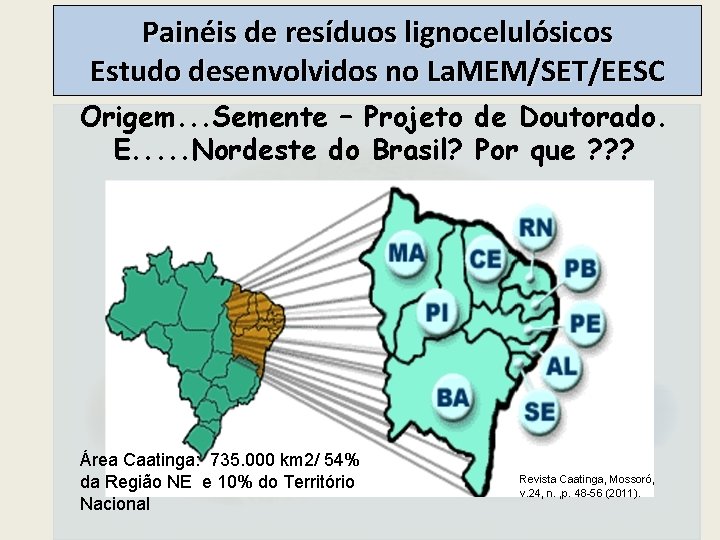 Painéis de resíduos lignocelulósicos Estudo desenvolvidos no La. MEM/SET/EESC Origem. . . Semente –