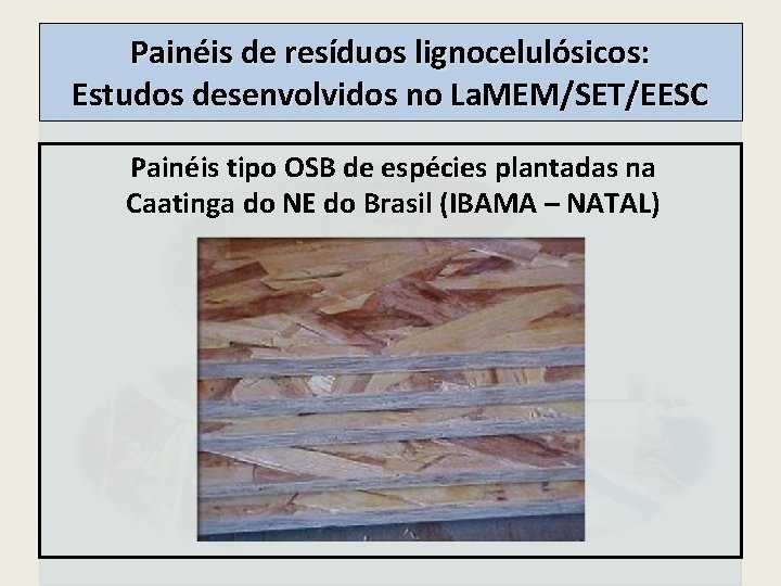 Painéis de resíduos lignocelulósicos: Estudos desenvolvidos no La. MEM/SET/EESC Painéis tipo OSB de espécies