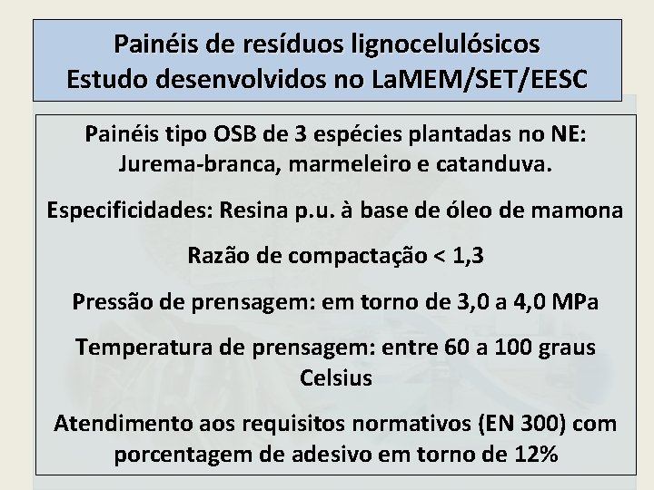 Painéis de resíduos lignocelulósicos Estudo desenvolvidos no La. MEM/SET/EESC Painéis tipo OSB de 3