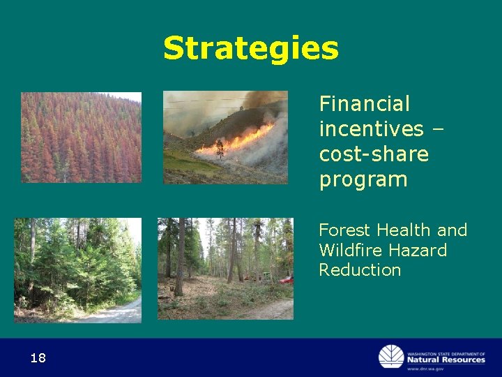 Strategies Financial incentives – cost-share program Forest Health and Wildfire Hazard Reduction 18 