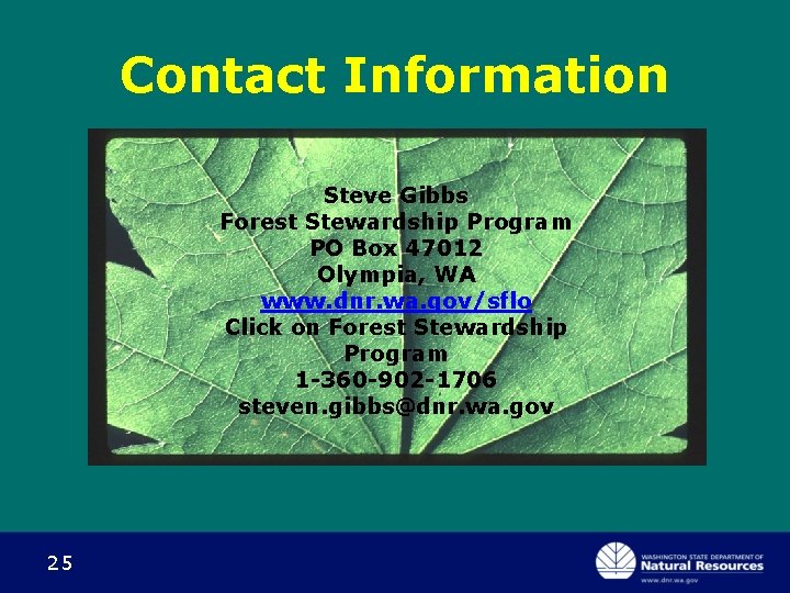 Contact Information Steve Gibbs Forest Stewardship Program PO Box 47012 Olympia, WA www. dnr.