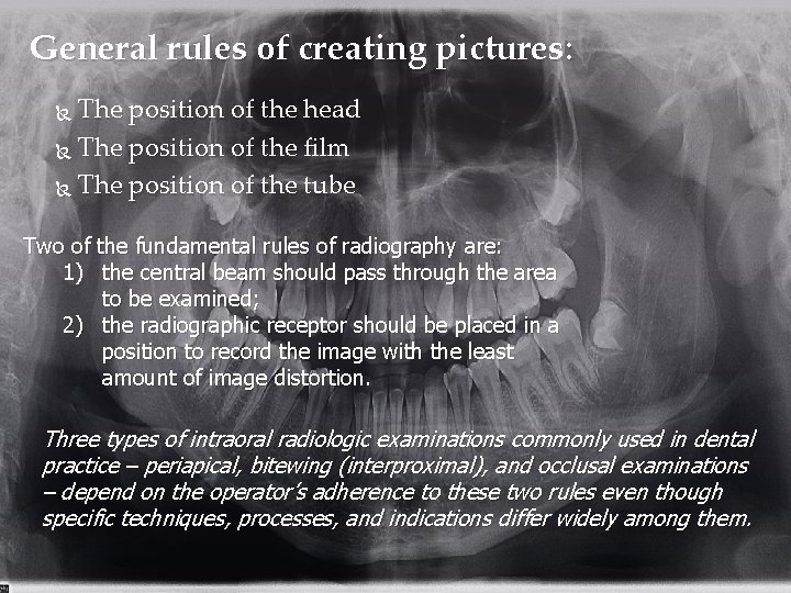 General rules of creating pictures: The position of the head The position of the