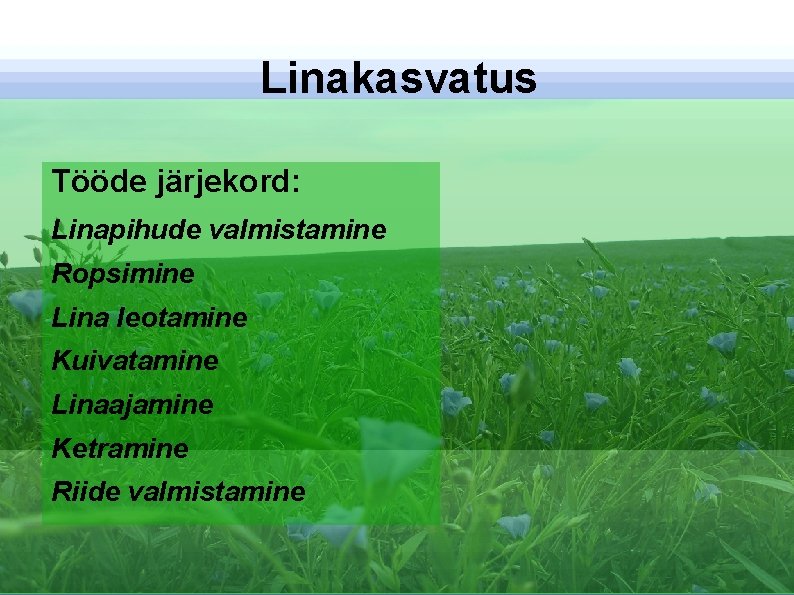 Linakasvatus Tööde järjekord: Linapihude valmistamine Ropsimine Lina leotamine Kuivatamine Linaajamine Ketramine Riide valmistamine 