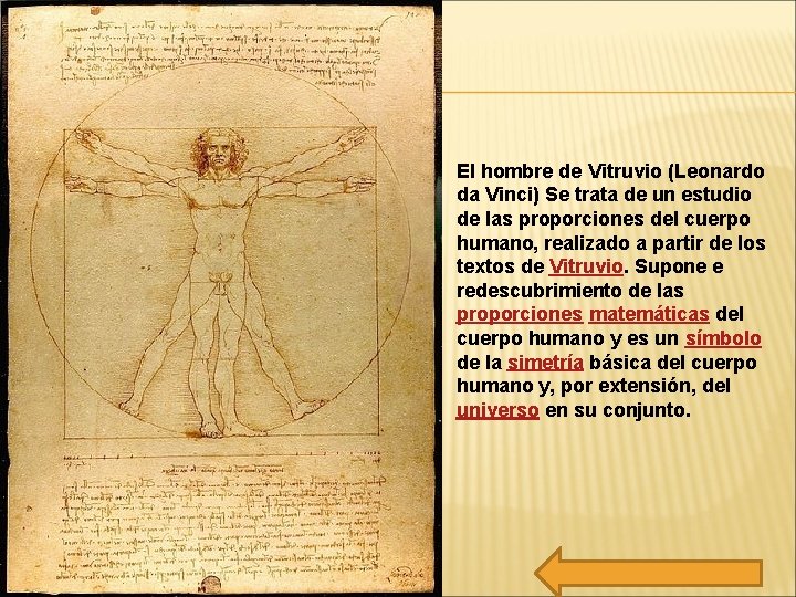 El hombre de Vitruvio (Leonardo da Vinci) Se trata de un estudio de las