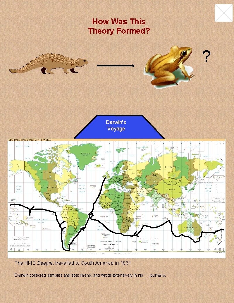 How Was This Theory Formed? ? Darwin's Voyage The HMS Beagle, travelled to South