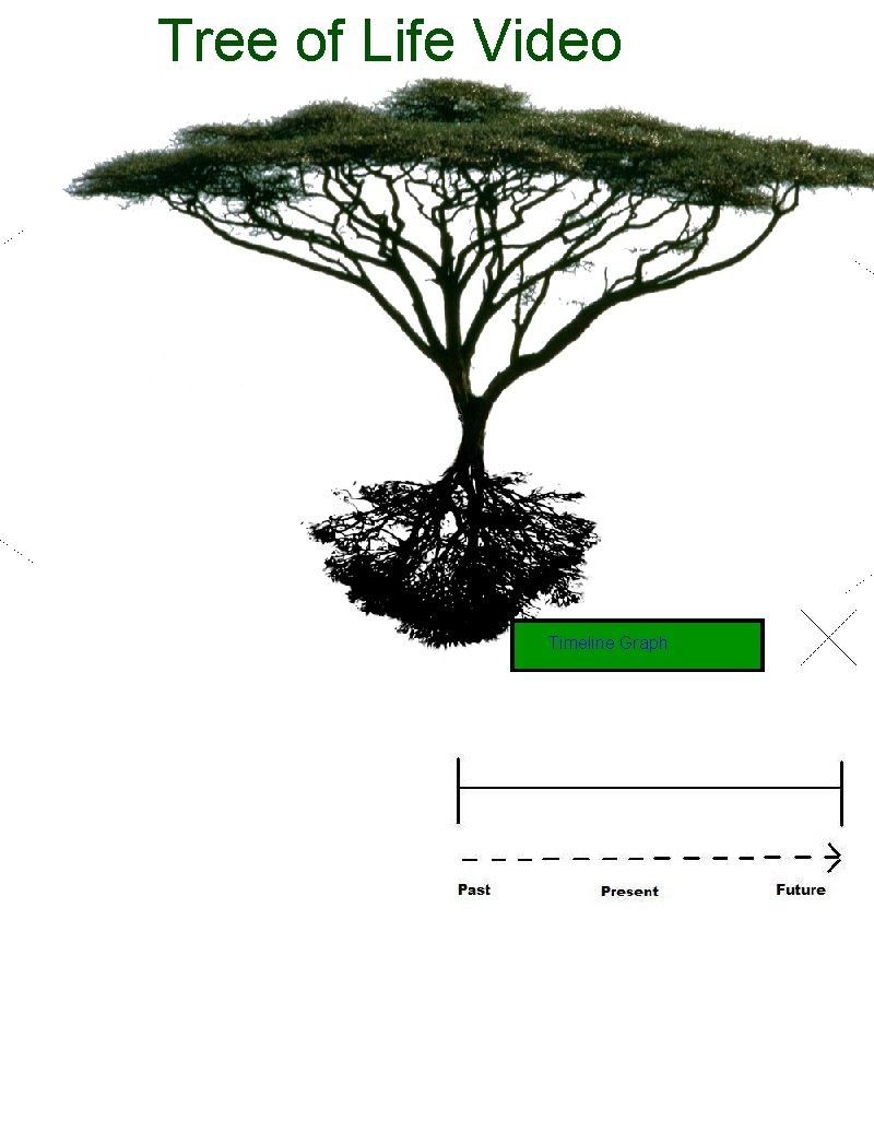 Tree of Life Video Timeline Graph 