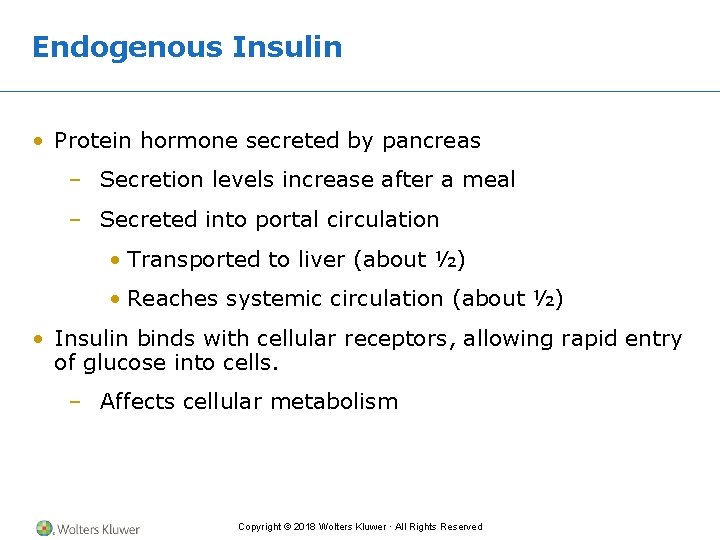 Endogenous Insulin • Protein hormone secreted by pancreas – Secretion levels increase after a