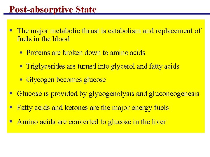 Post-absorptive State § The major metabolic thrust is catabolism and replacement of fuels in Post-absorptive State § The major metabolic thrust is catabolism and replacement of fuels in