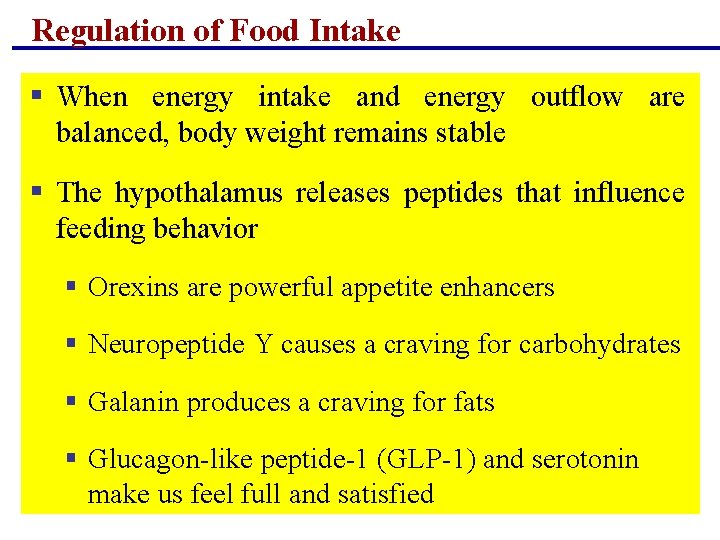 Regulation of Food Intake § When energy intake and energy outflow are balanced, body Regulation of Food Intake § When energy intake and energy outflow are balanced, body