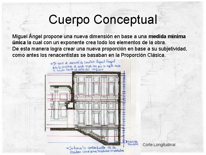 Cuerpo Conceptual Miguel Ángel propone una nueva dimensión en base a una medida minima