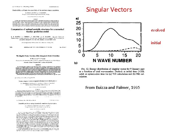 Singular Vectors evolved initial From Buizza and Palmer, 1995 