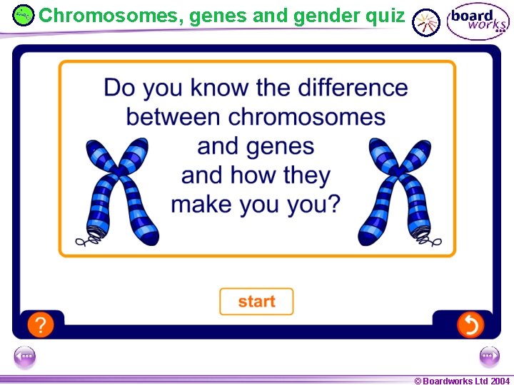 Chromosomes, genes and gender quiz © Boardworks Ltd 2004 © Boardworks Ltd 