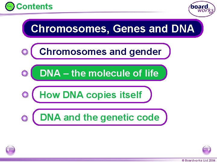 Contents Chromosomes, Genes and DNA Chromosomes and gender DNA – the molecule of life