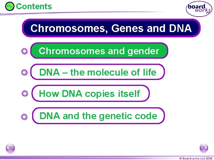 Contents Chromosomes, Genes and DNA Chromosomes and gender DNA – the molecule of life