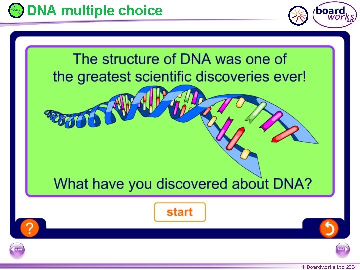 DNA multiple choice © Boardworks Ltd 2004 