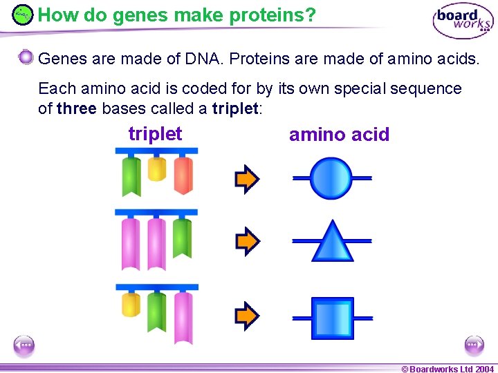 How do genes make proteins? Genes are made of DNA. Proteins are made of