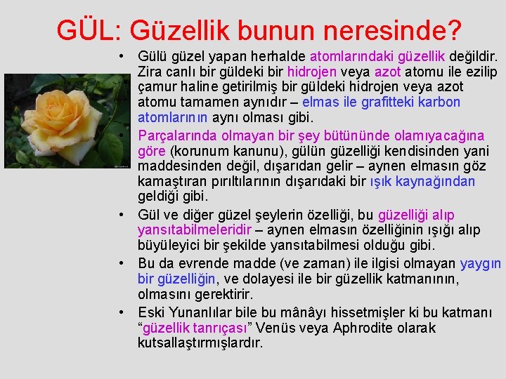 GÜL: Güzellik bunun neresinde? • Gülü güzel yapan herhalde atomlarındaki güzellik değildir. Zira canlı