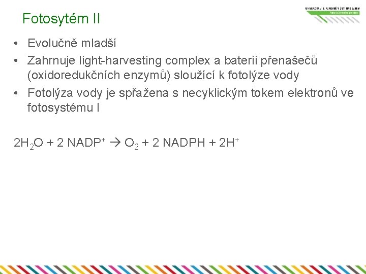 Fotosytém II • Evolučně mladší • Zahrnuje light-harvesting complex a baterii přenašečů (oxidoredukčních enzymů)