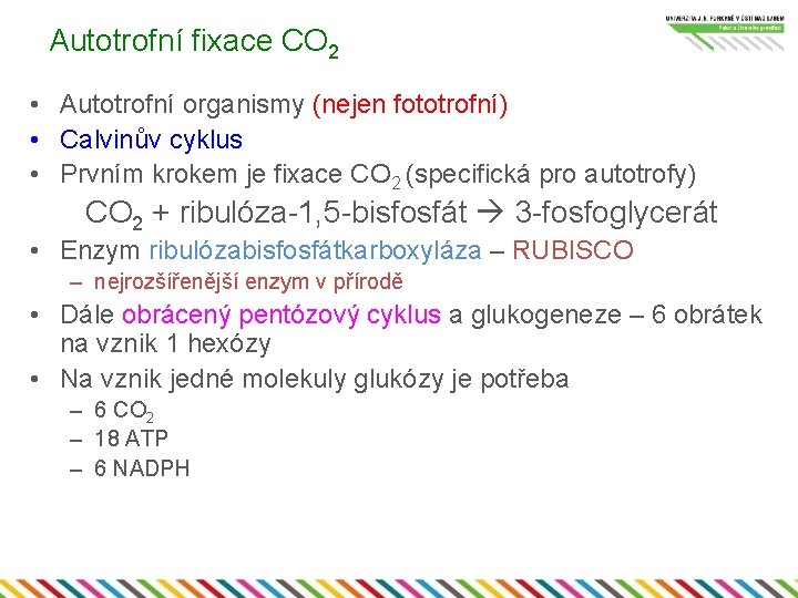Autotrofní fixace CO 2 • Autotrofní organismy (nejen fototrofní) • Calvinův cyklus • Prvním