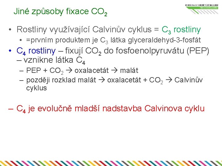 Jiné způsoby fixace CO 2 • Rostliny využívající Calvinův cyklus = C 3 rostliny